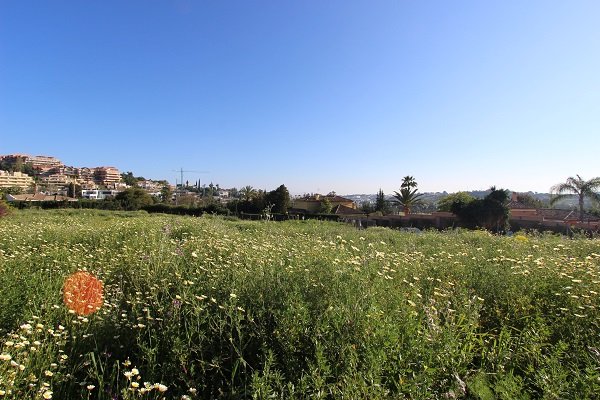 Properties For Sale in Nueva Andalucia, Marbella. | LuxuryForSale.Properties, Luxury Real Estate For Sale & Rent.