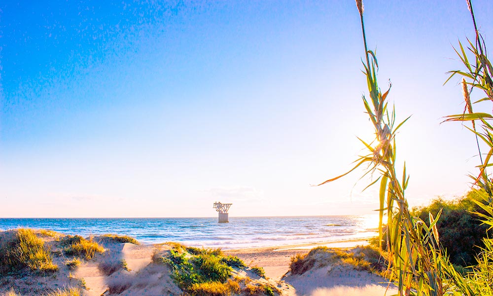 Marbella sunshine Living in Marbella improve your Health