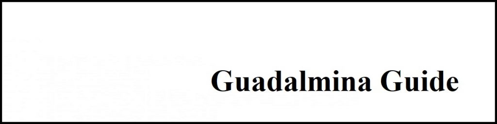 Guadalmina marbella