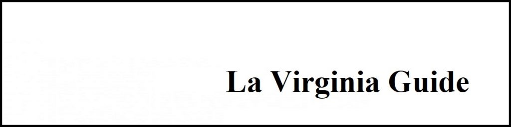 la virginia property marbella