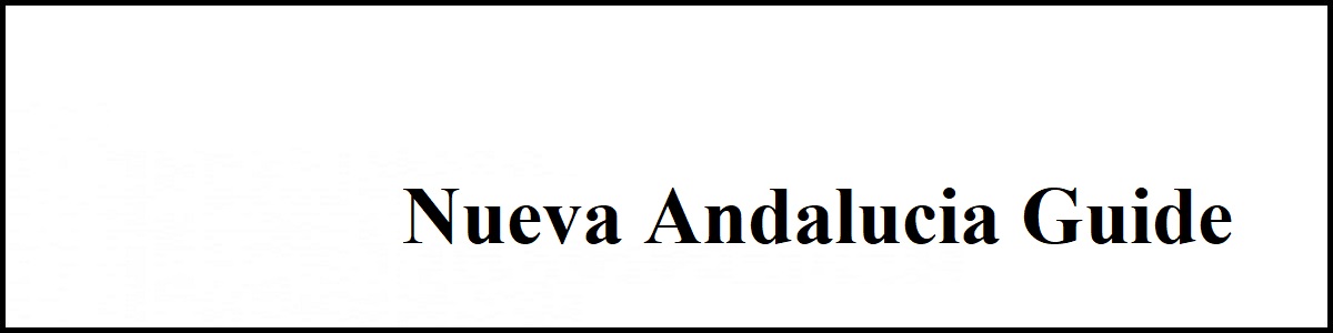 nueva andalucia properties