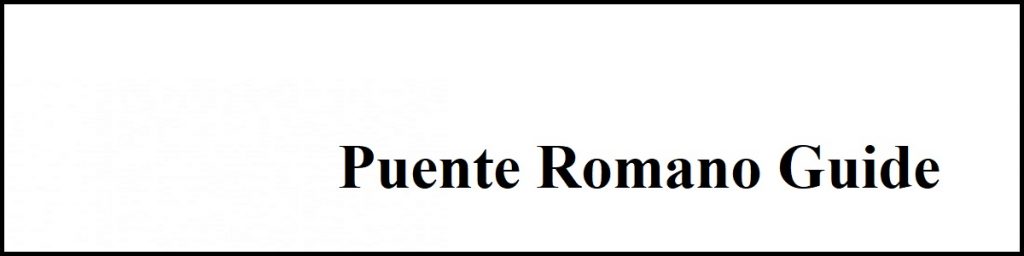 puente romano marbella property