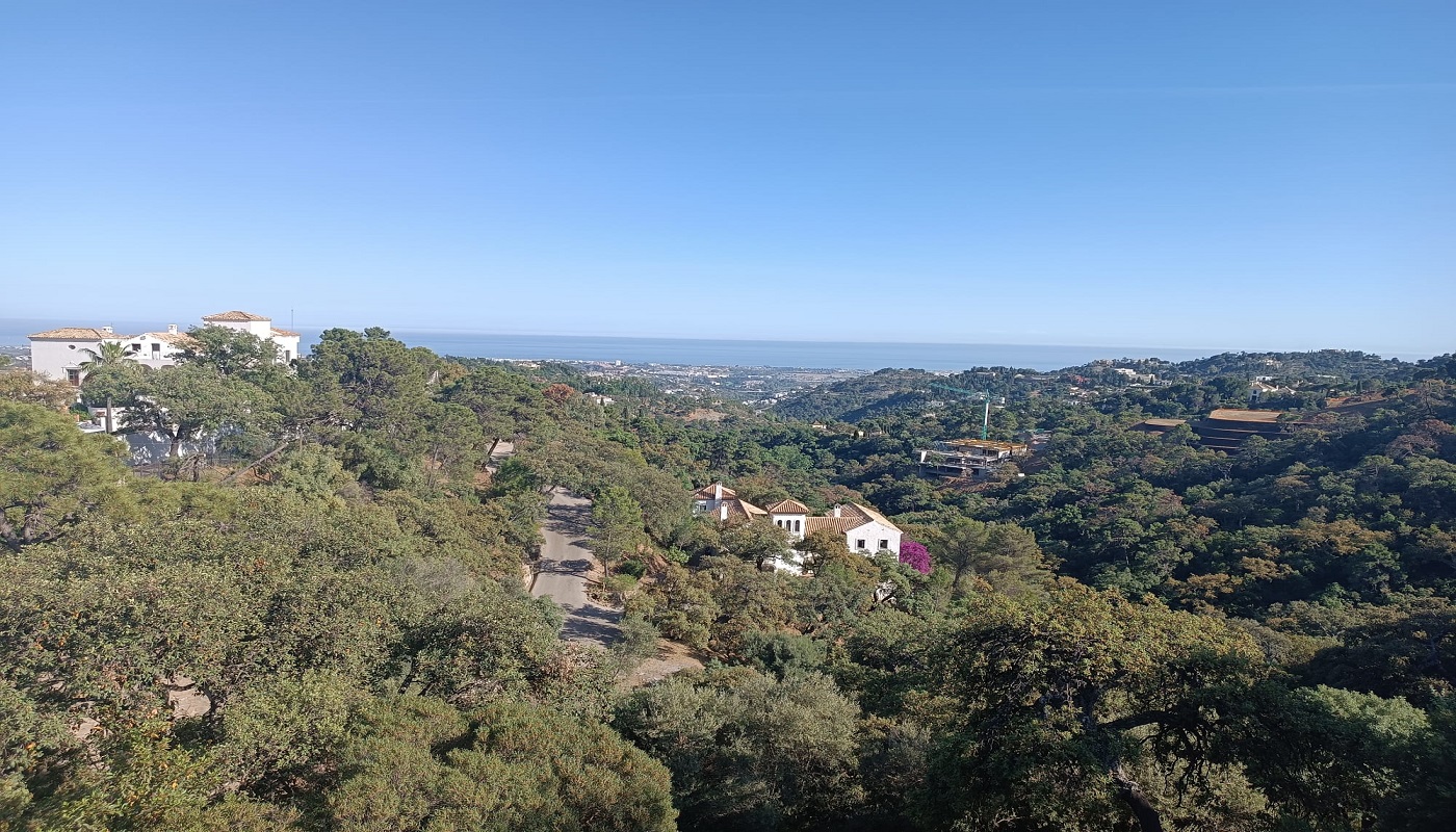el madronal