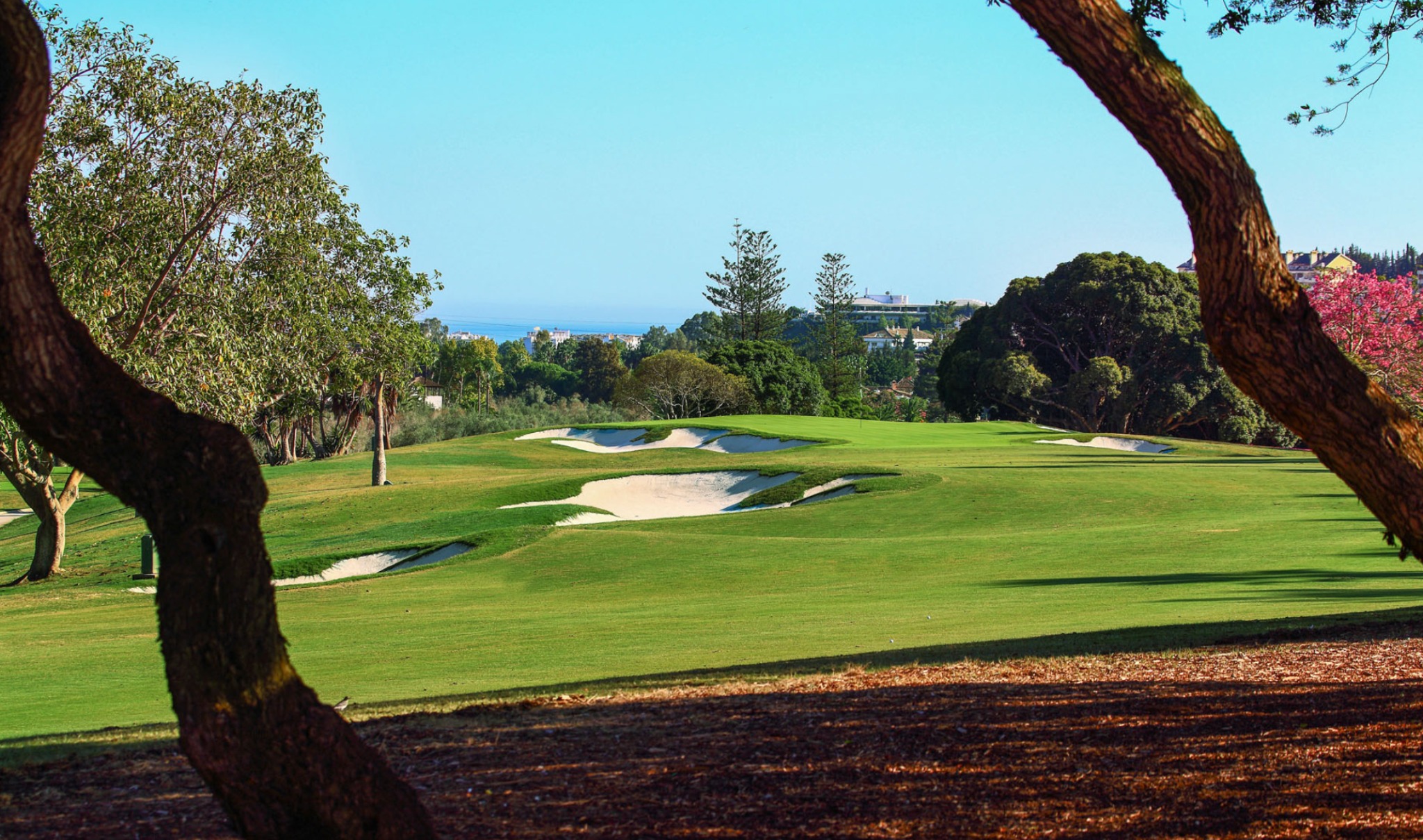 golf valley