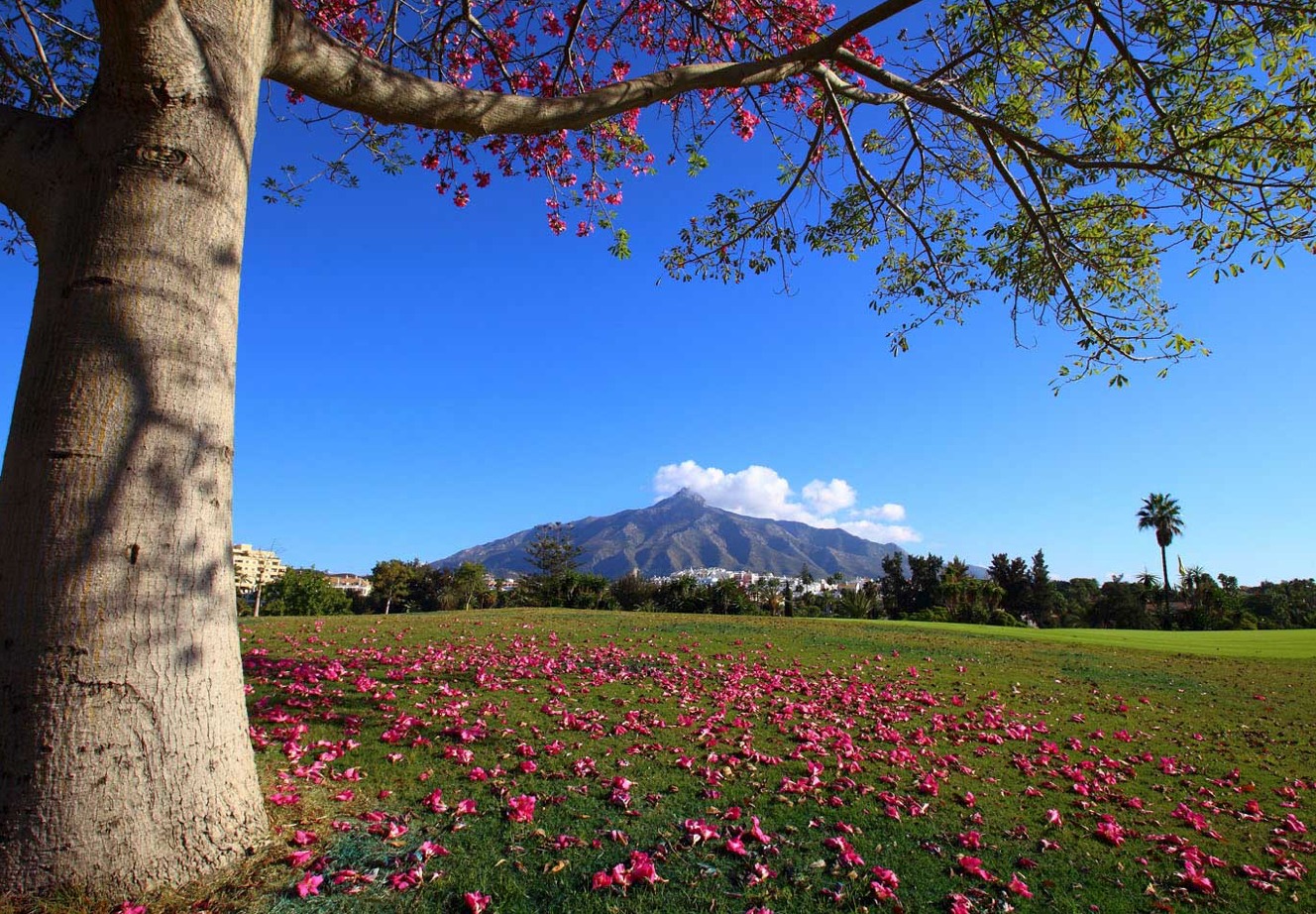 golf valley