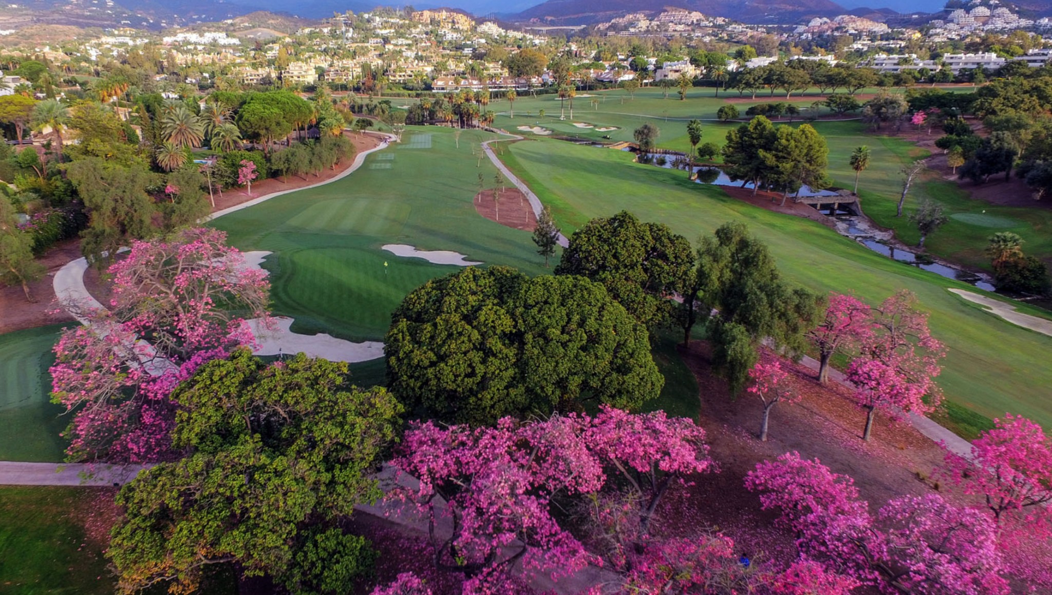 las brisas golf