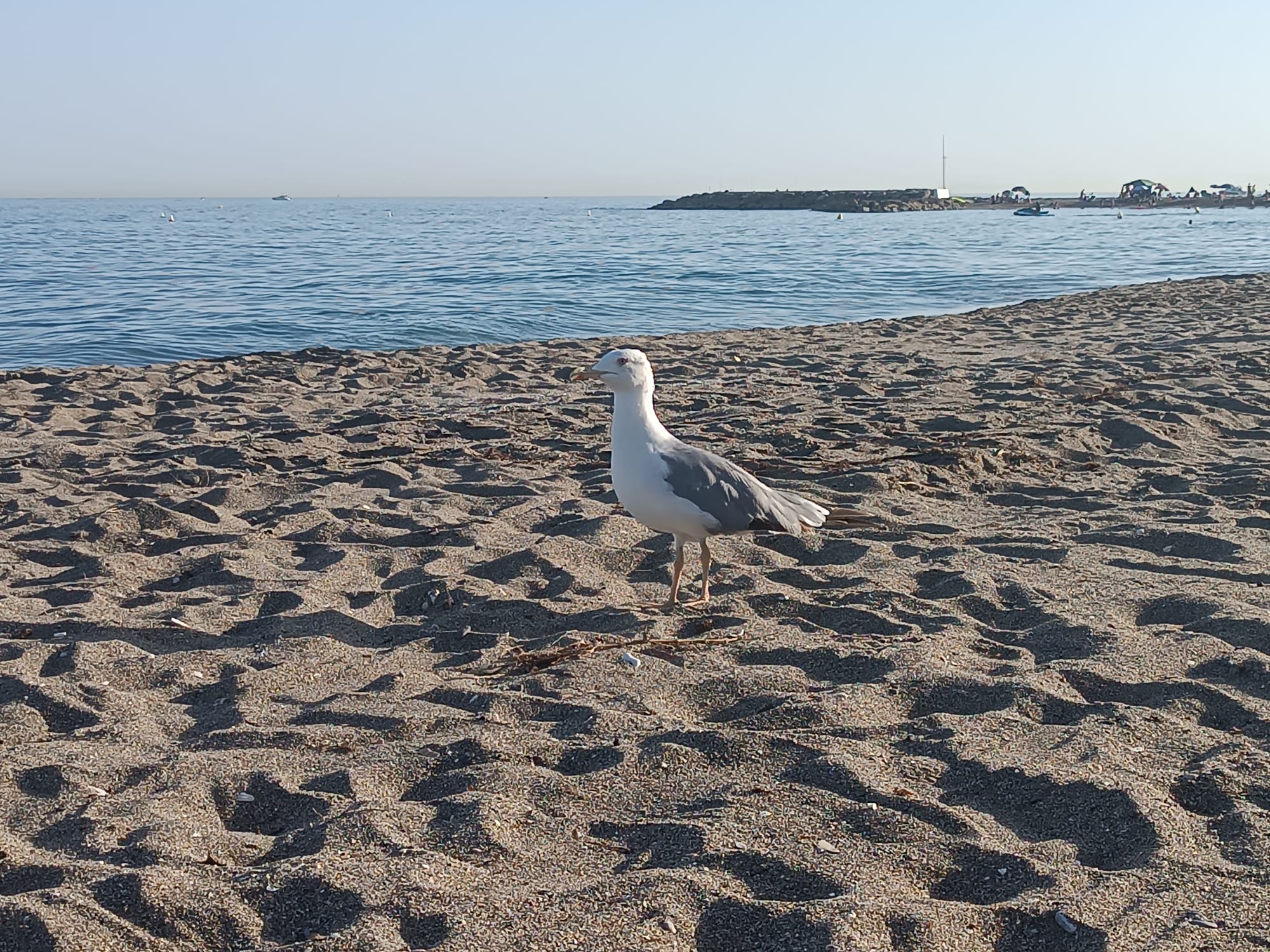 sandy beaches