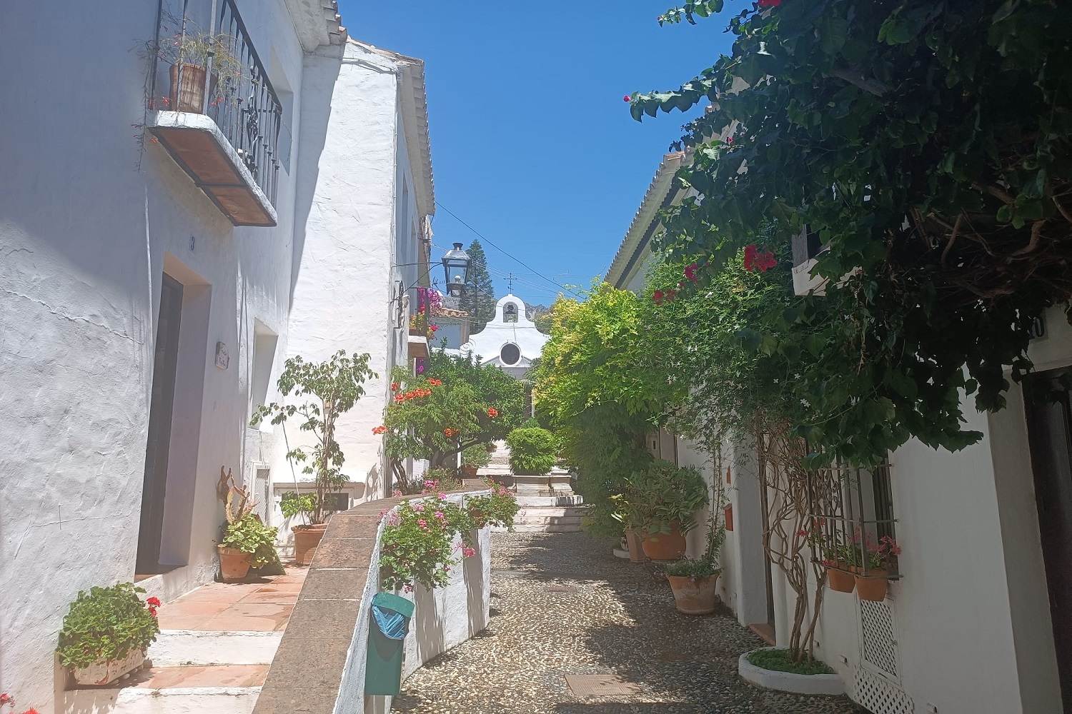 la virginia, marbella