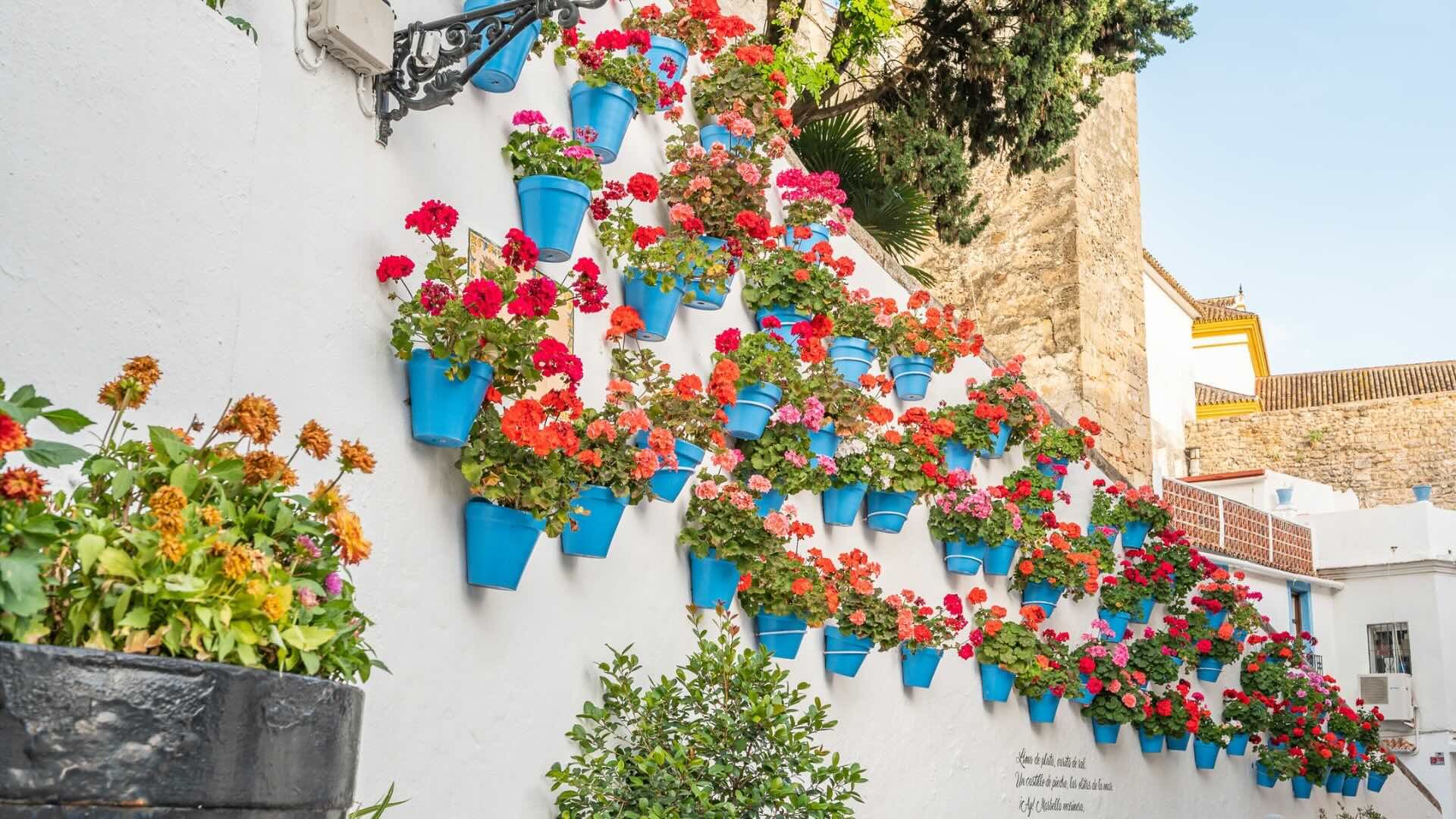 Marbella town