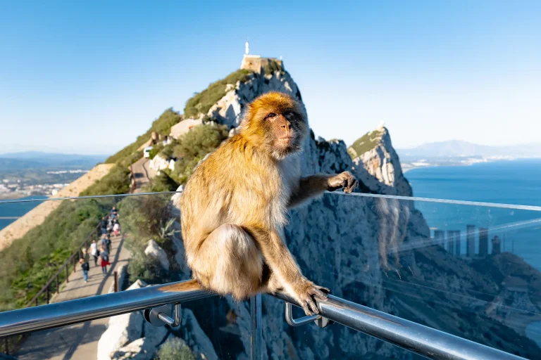 Gibraltar
