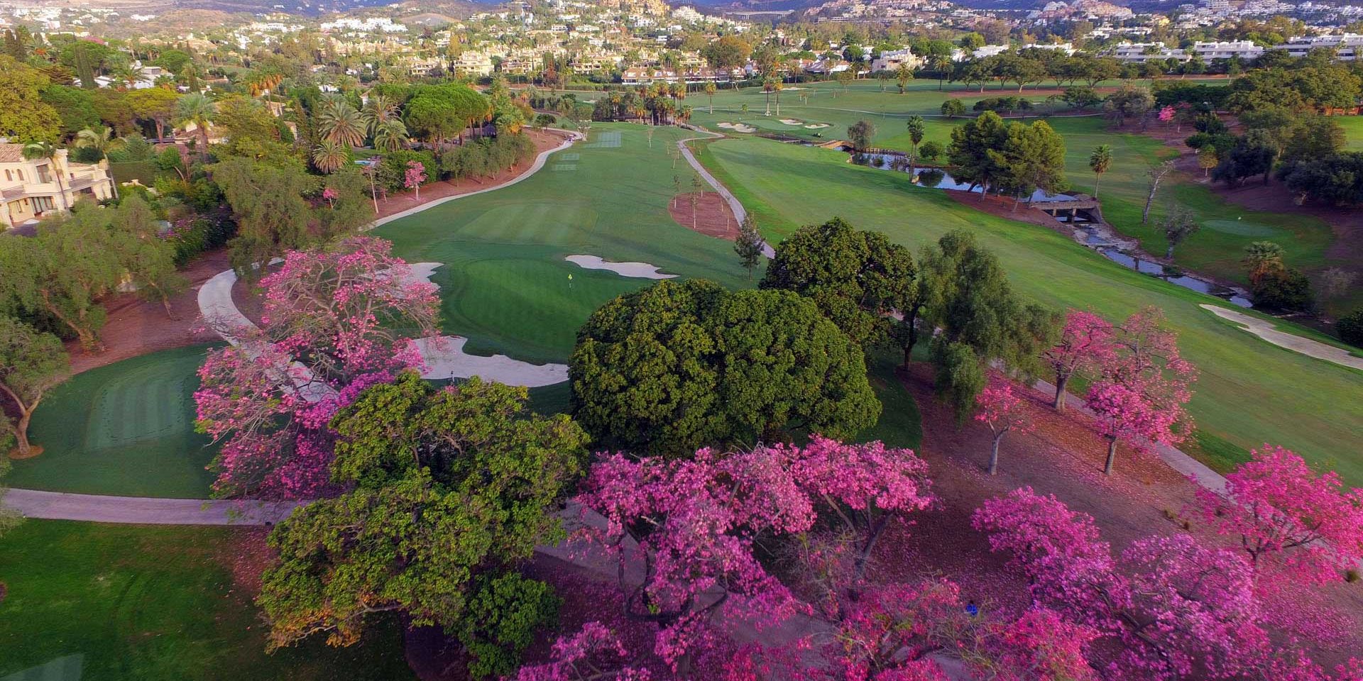 Real Club de Golf Las Brisas